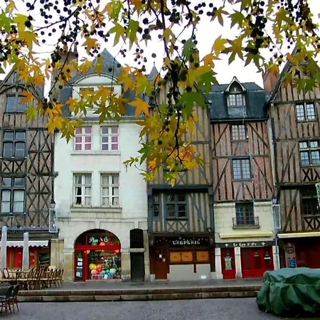 Le Gingko Tours