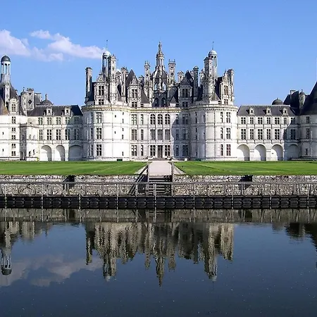 Le Gingko * Tours